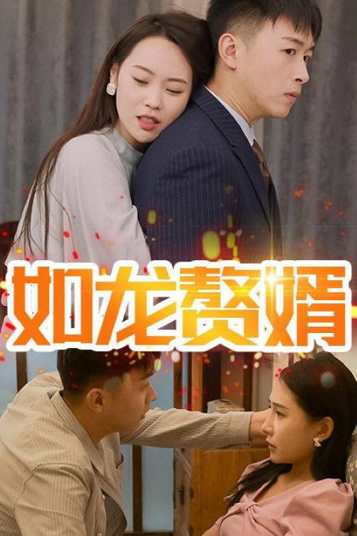 如龙赘婿