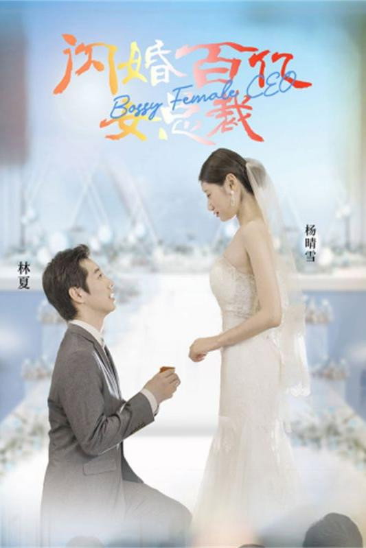 闪婚百亿女总裁
