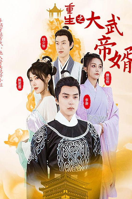 重生之大武帝婿