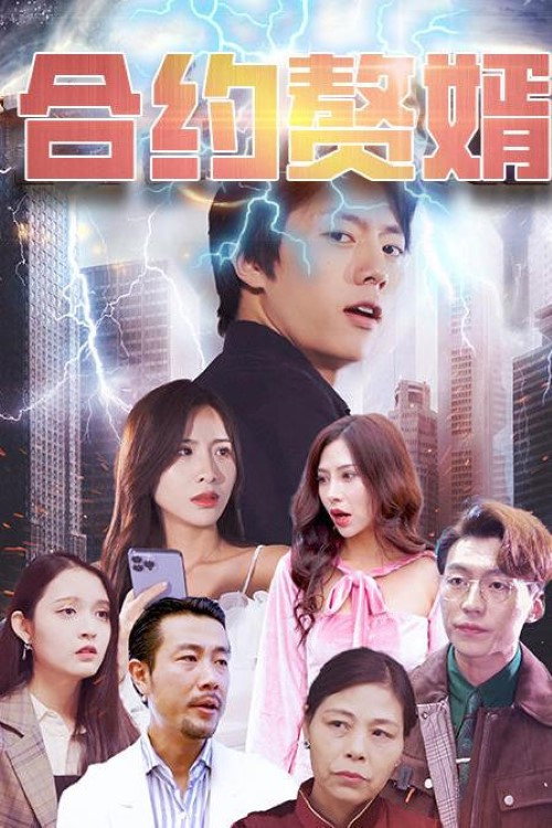 合约赘婿
