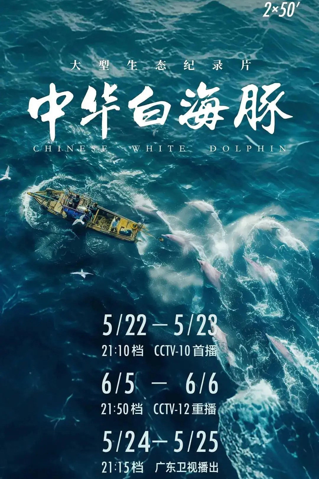 中华白海豚
