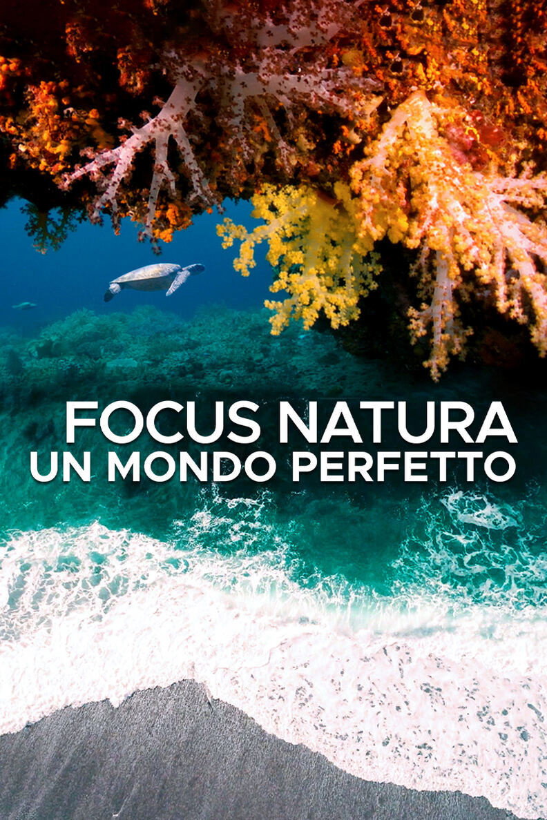 Focus natura - Un mondo perfetto
