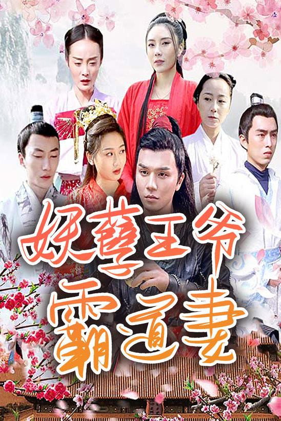 妖孽王爷霸道妻