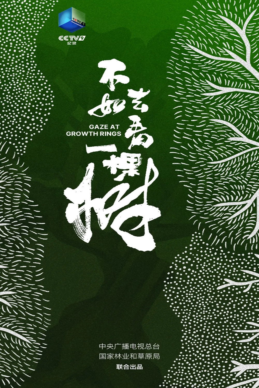 不如去看一棵树