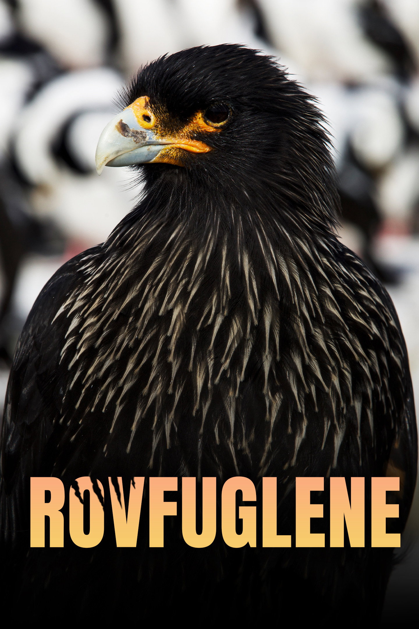 Legenden der Lüfte