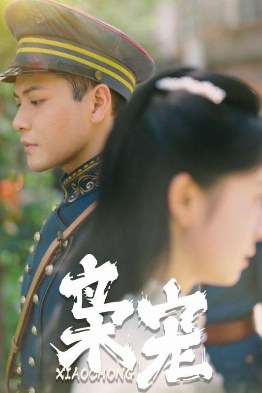 枭宠