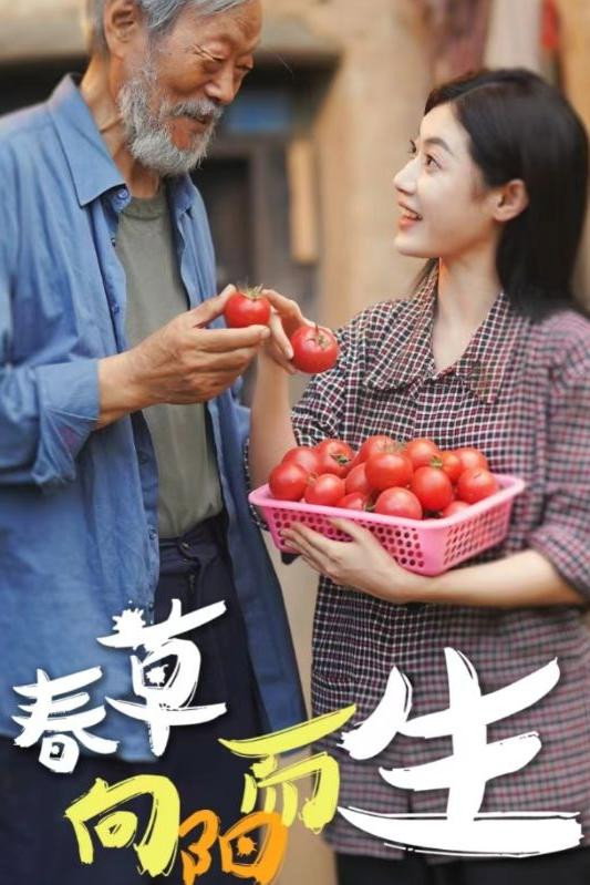 春草向阳而生