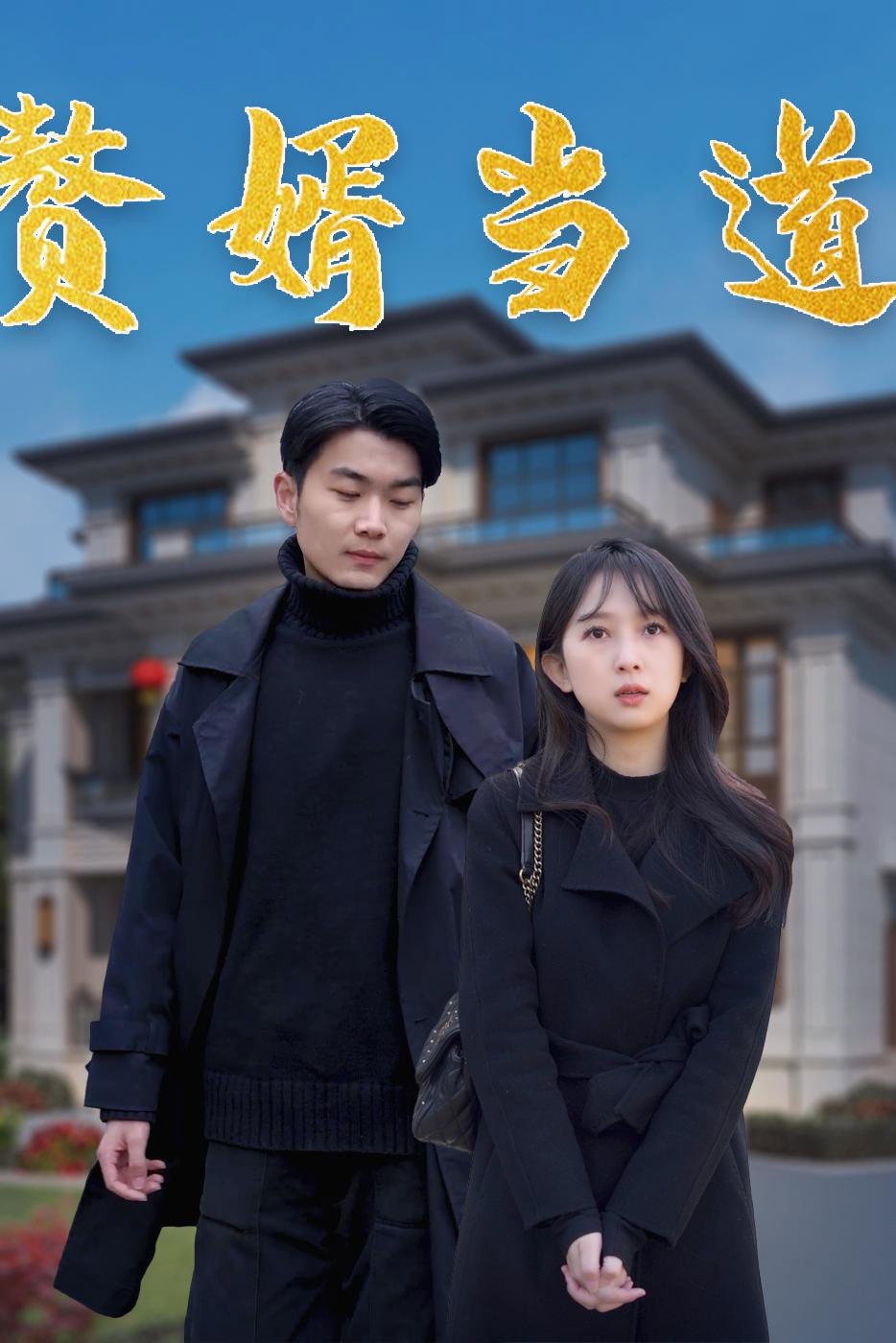 赘婿当道