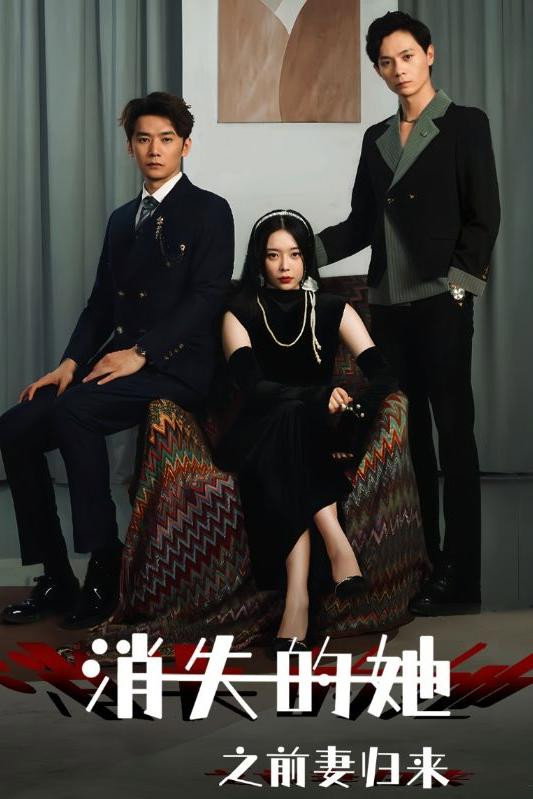 消失的她之前妻归来