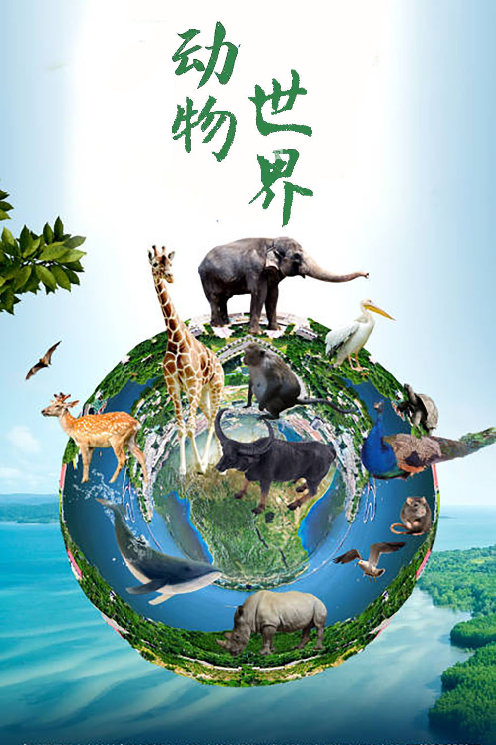 动物世界(赵忠祥)