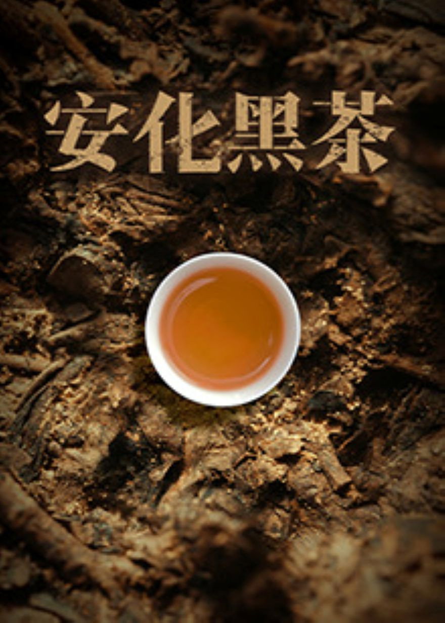 安化黑茶