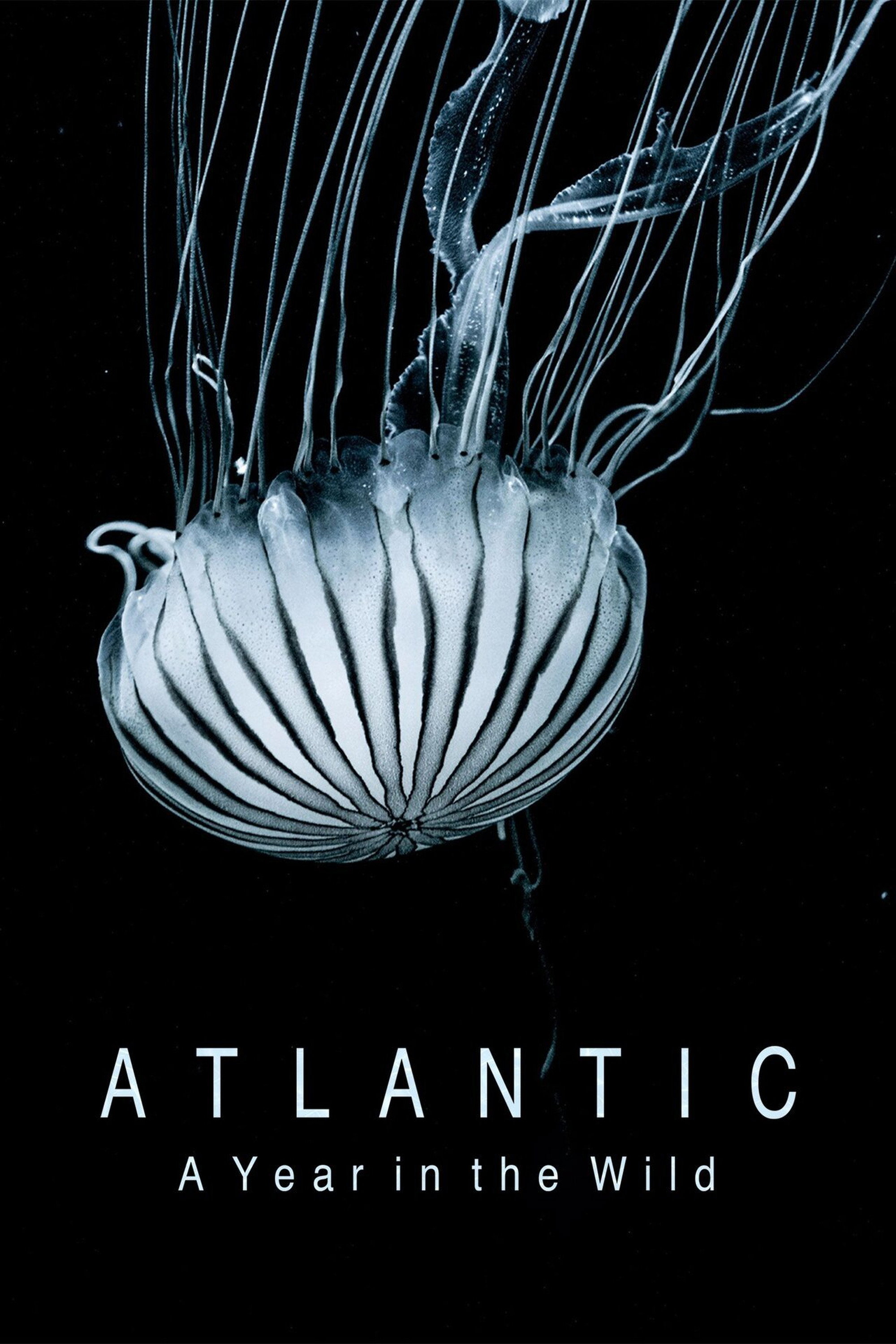 Atlantic
