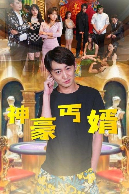 神豪丐婿