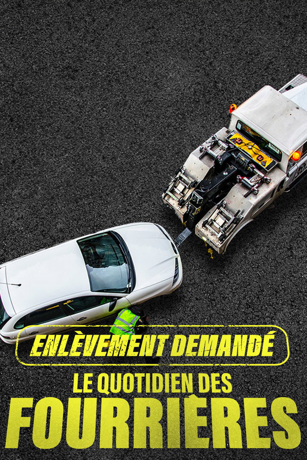 Enlèvement demandé : le quotidien des fourrières