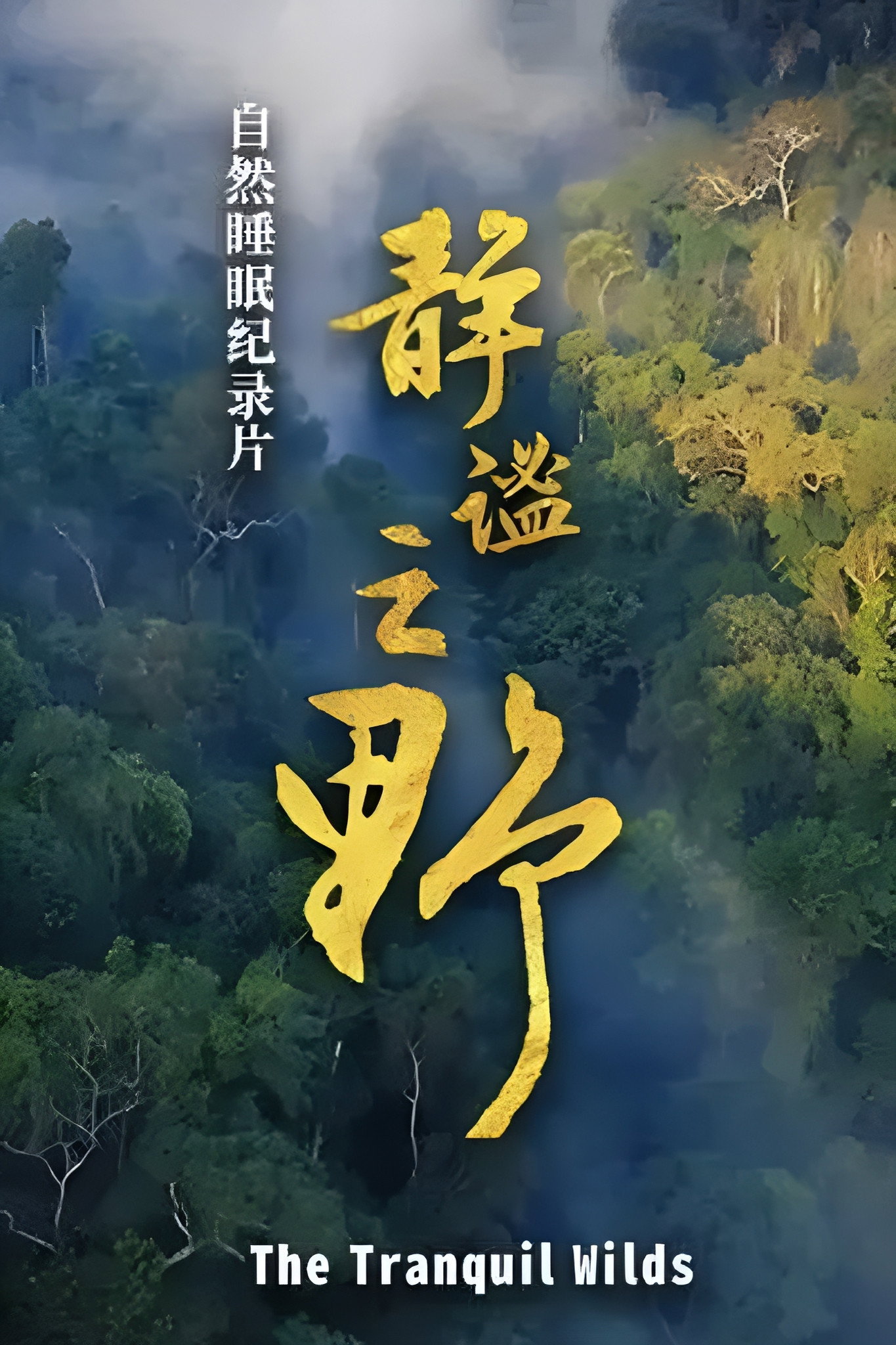 静谧之野