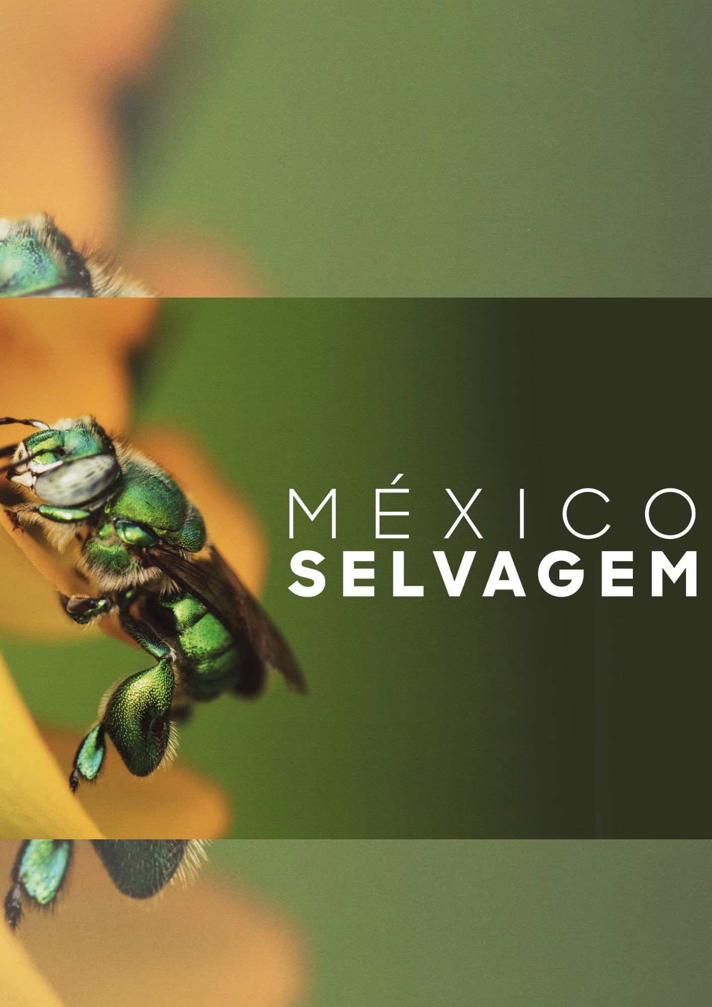 México Selvagem