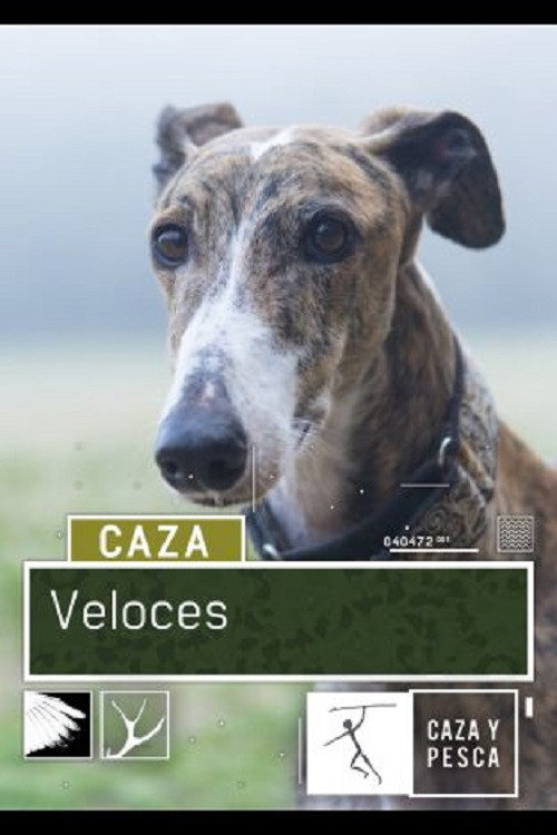 Veloces (2018)