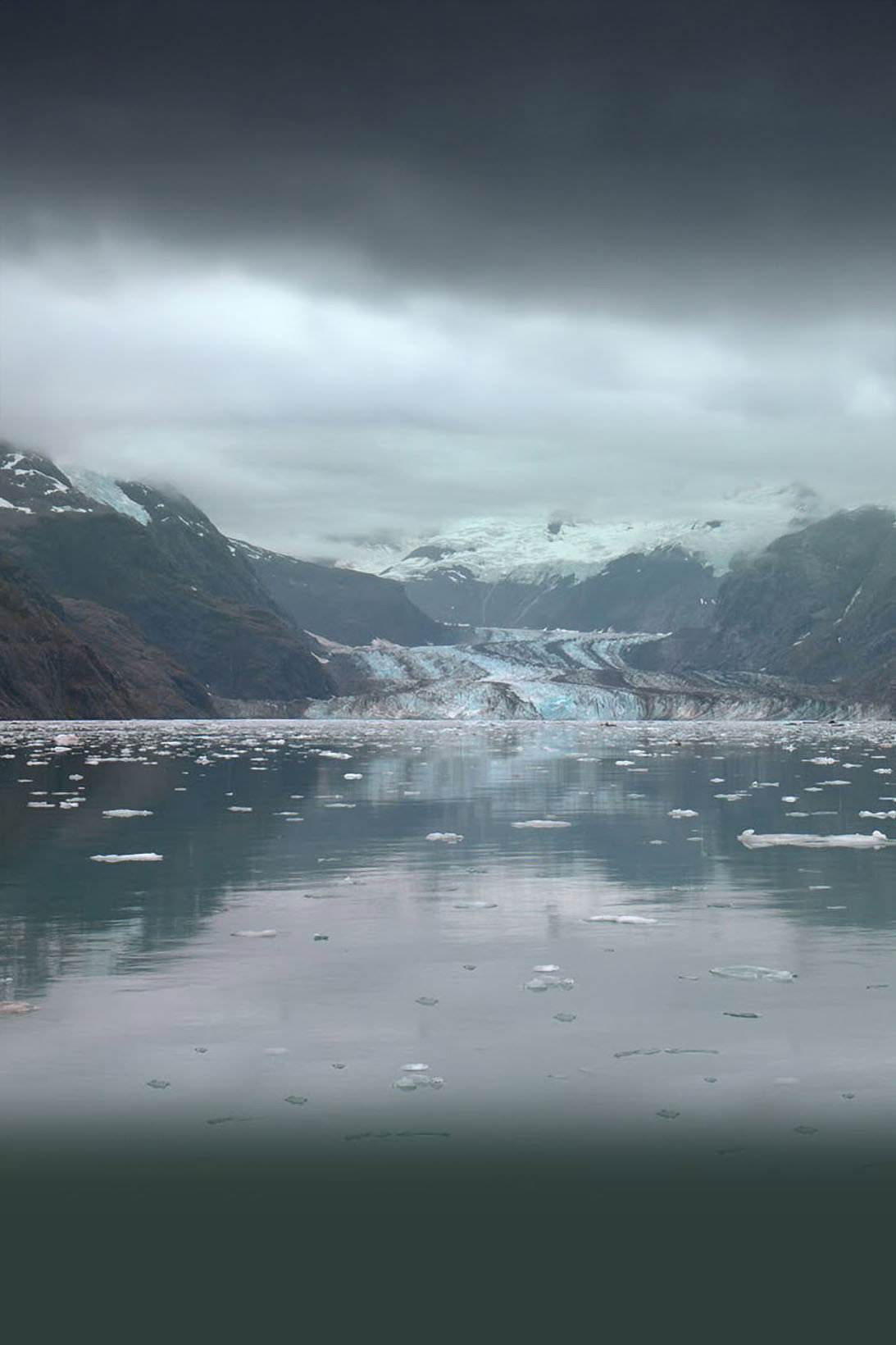 Alaskan Shorts