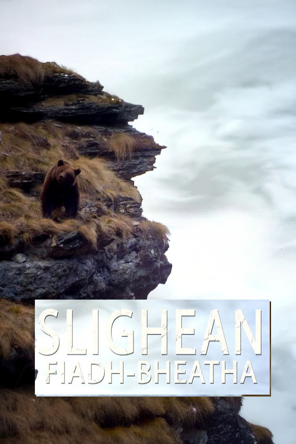 Slighean Fiadh-bheatha