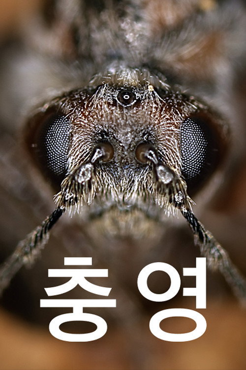 충영