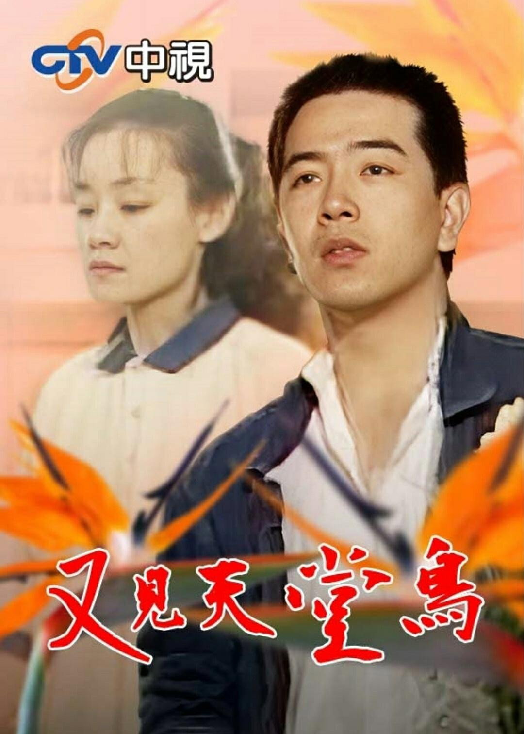 又见天堂鸟
