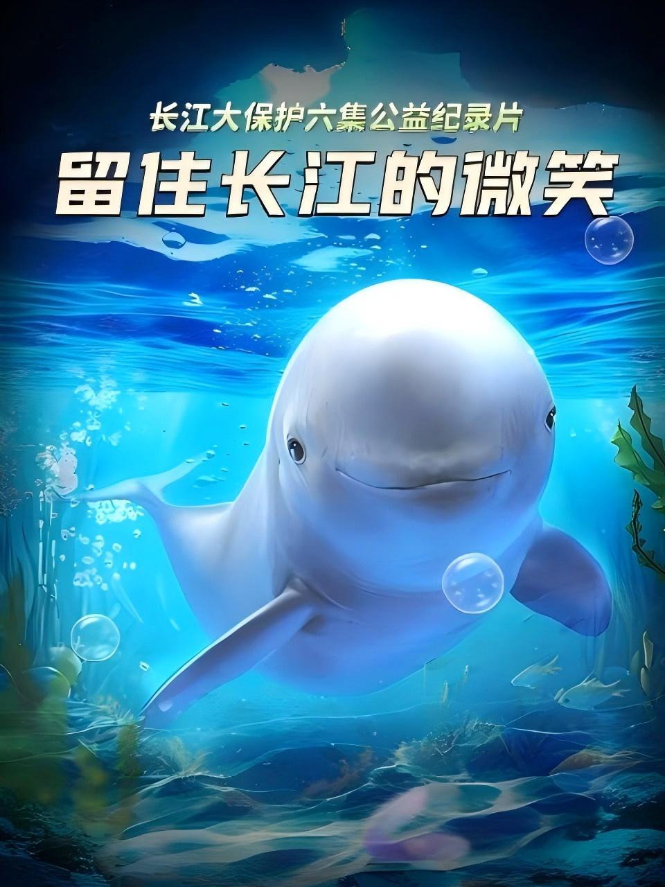 留住长江的微笑