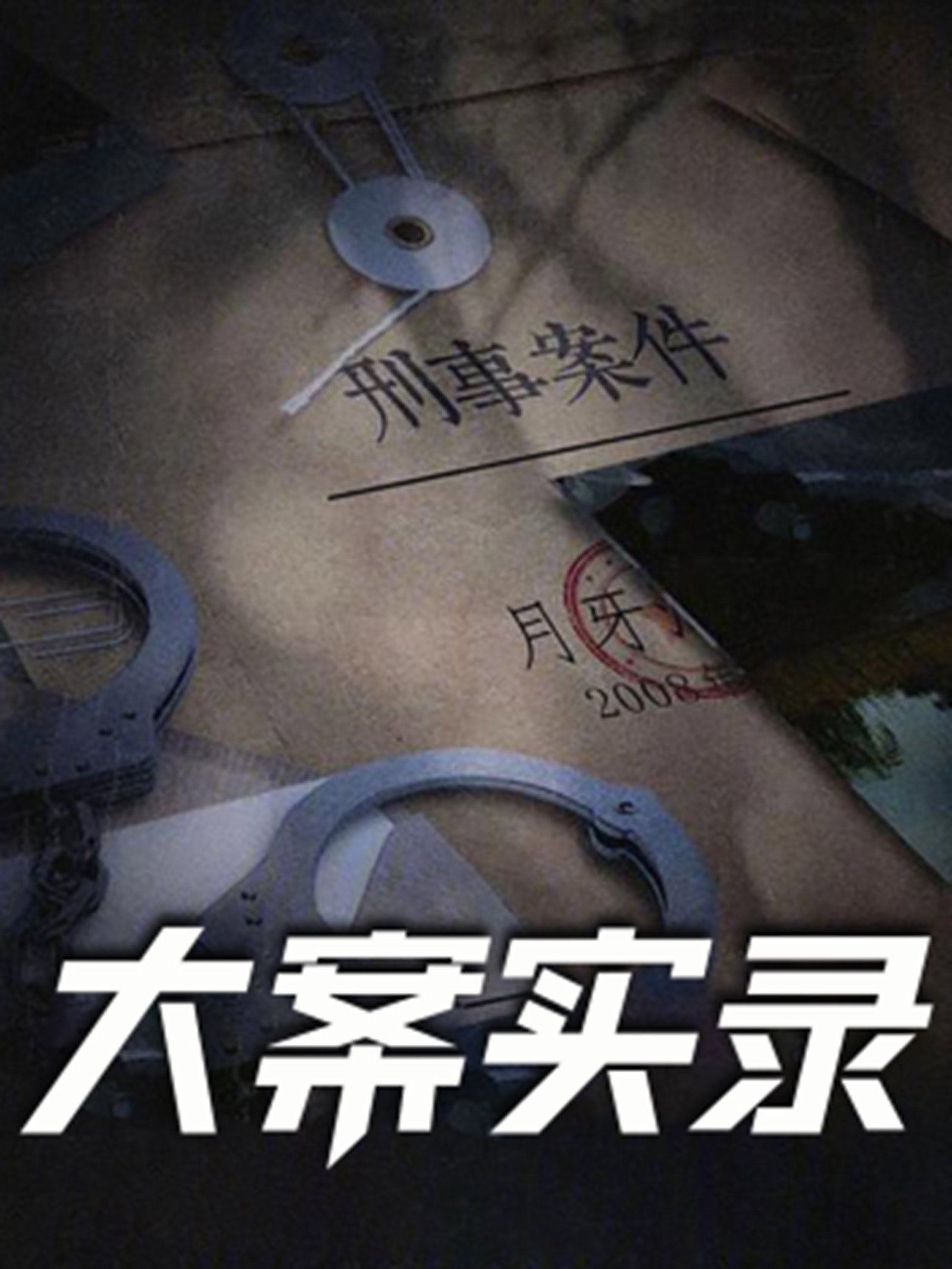大案实录