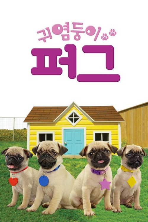 귀염둥이 퍼그
