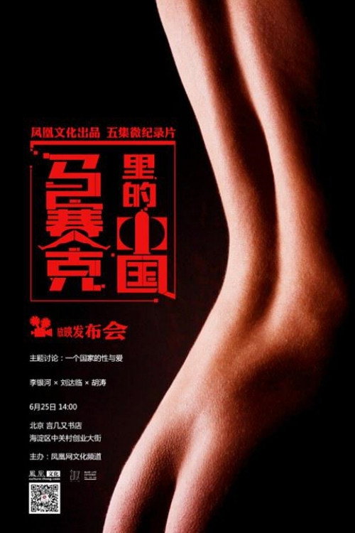 马赛克里的中国