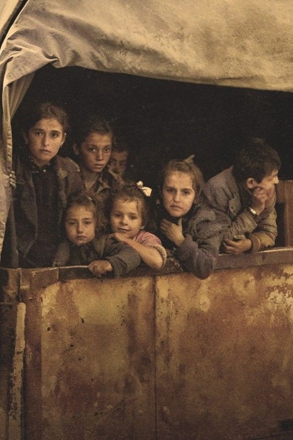 Orphans Of World War II