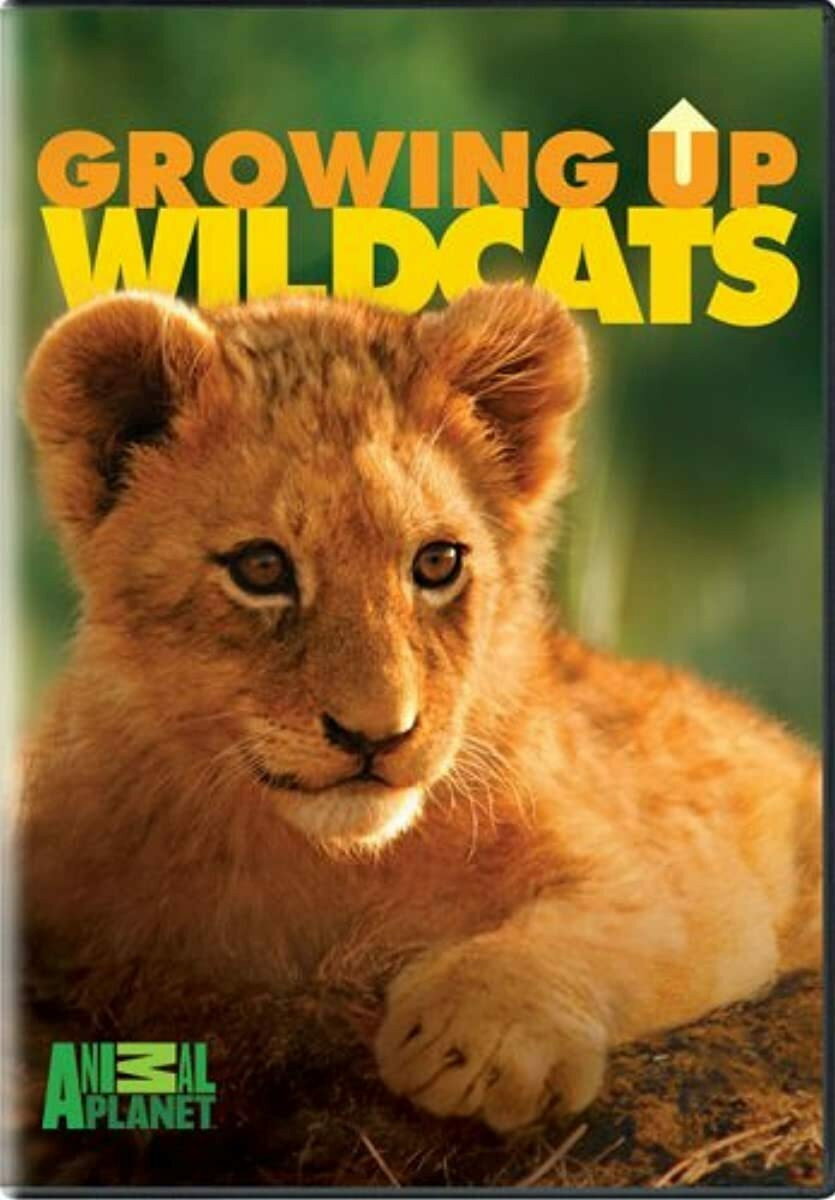 Growing Up. Wildcats.