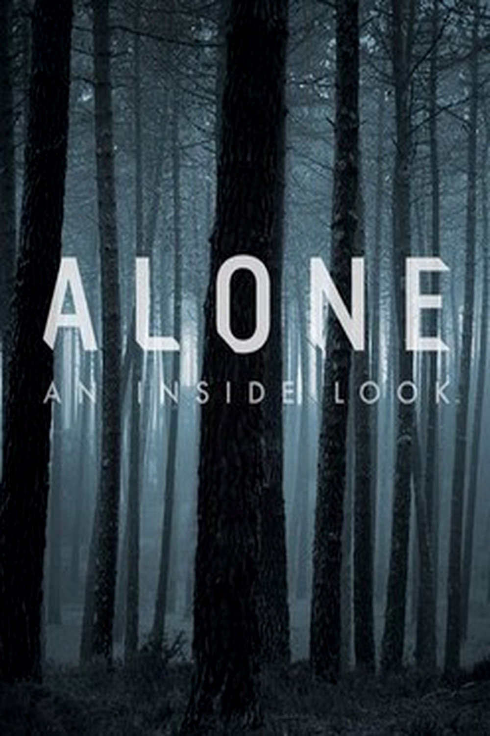 Alone: An Inside Look