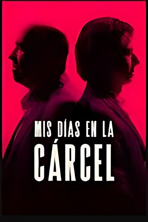 Mis dias en la carcel