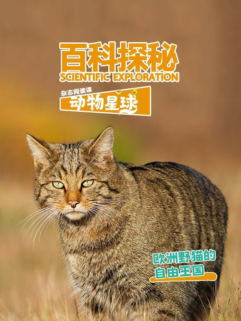 百科探秘动物星球