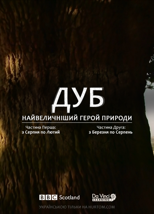 Oak Tree: Nature's Greatest Survivor
