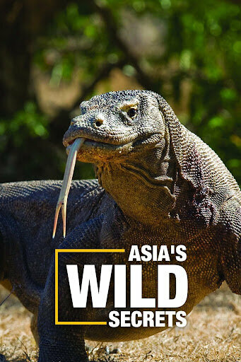 Asia's Wild Secrets
