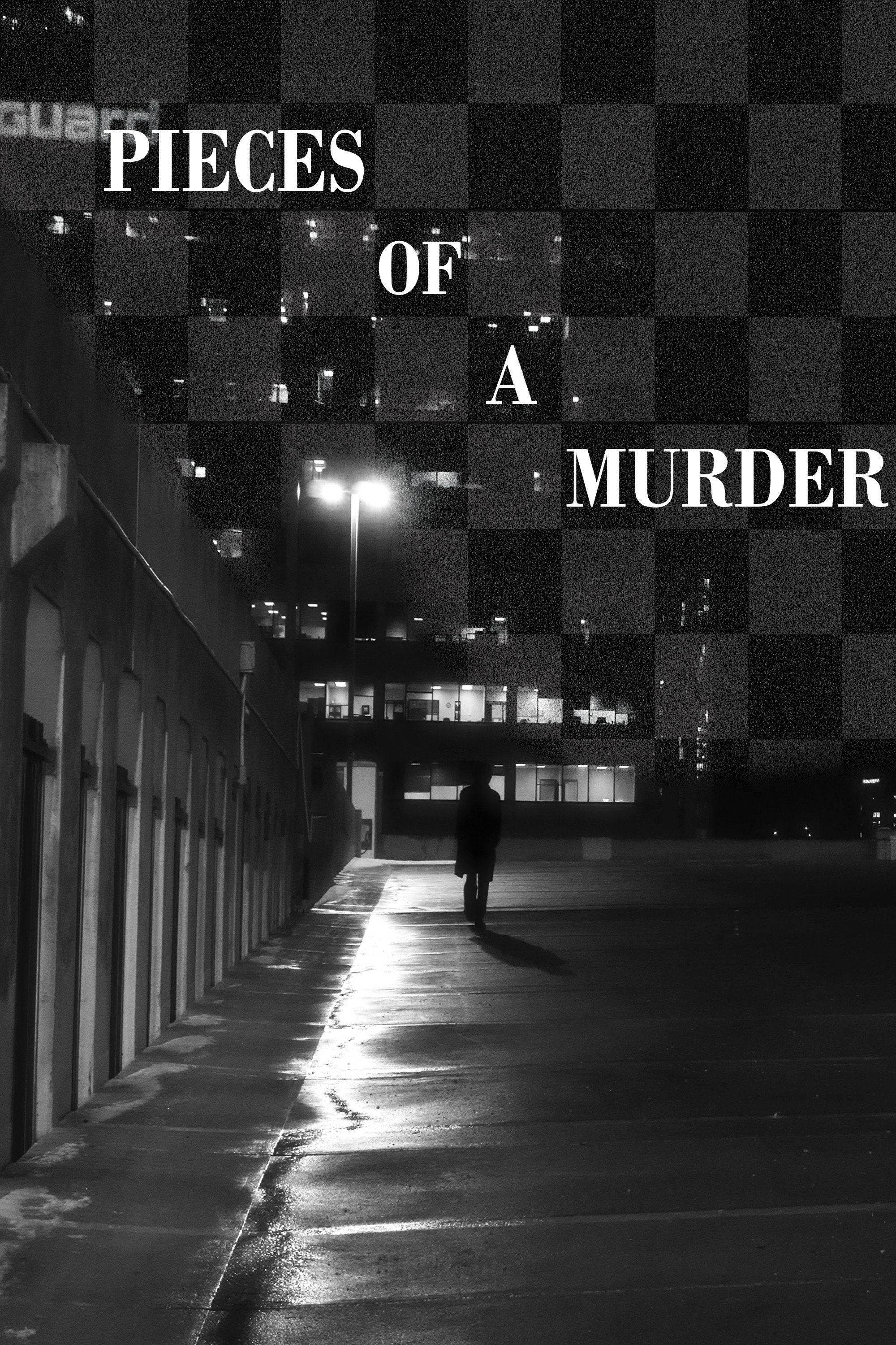 Pieces of a Murder