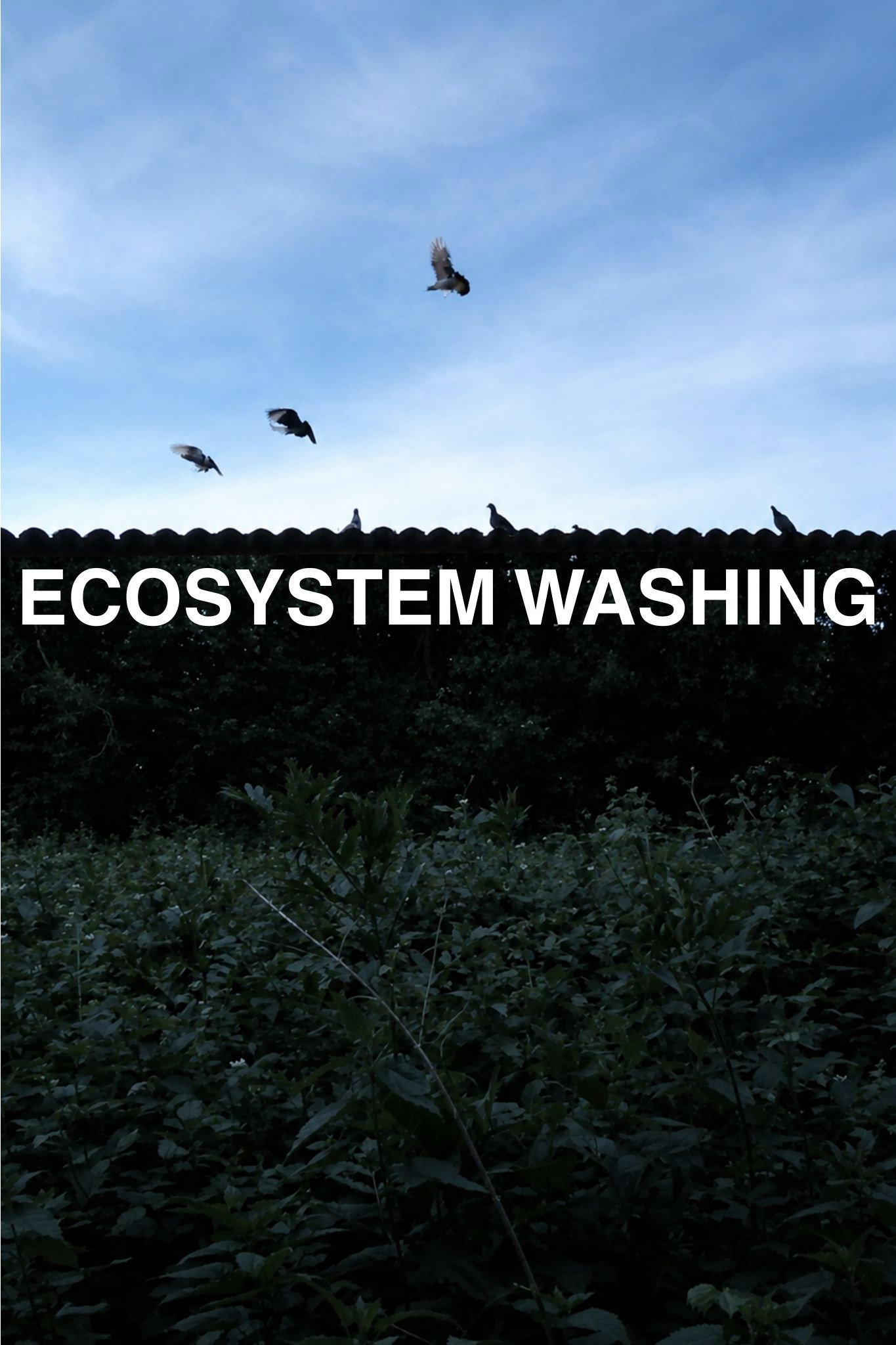 Ecosystem washing