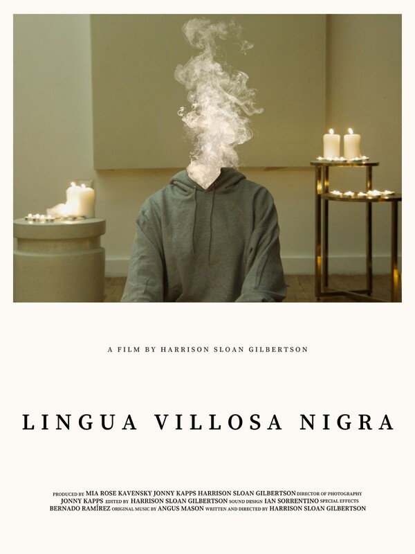 Lingua Villosa Nigra