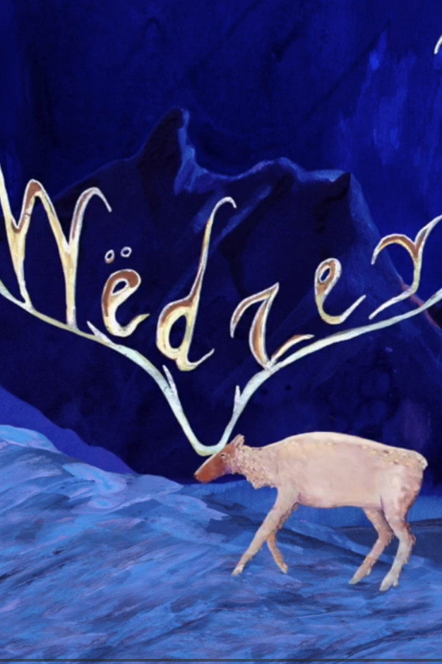 Midnight Migrations: Wëdzey Tąy (Caribou Trails)