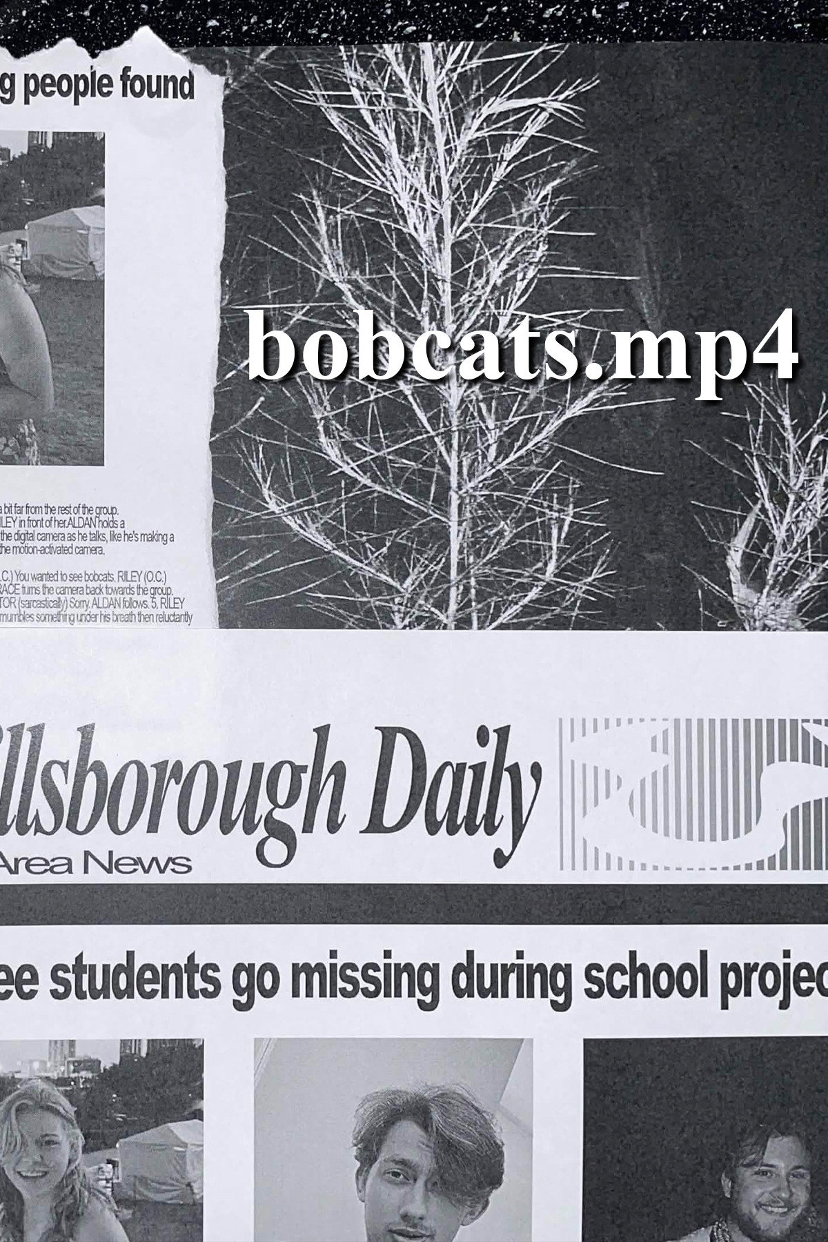 Bobcats