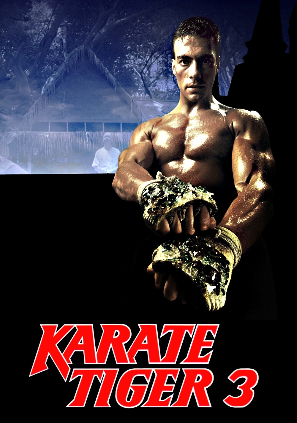 Karate Tiger 3 - Der Kickboxer