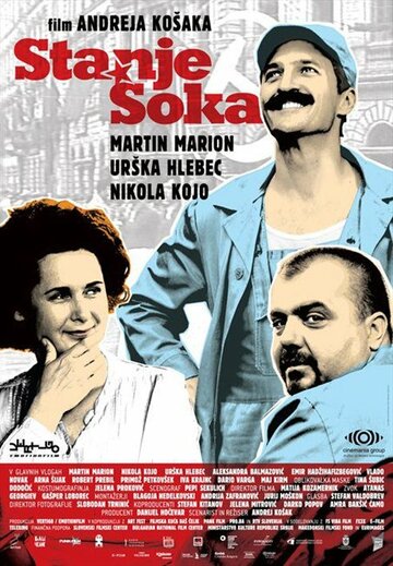 Stanje soka