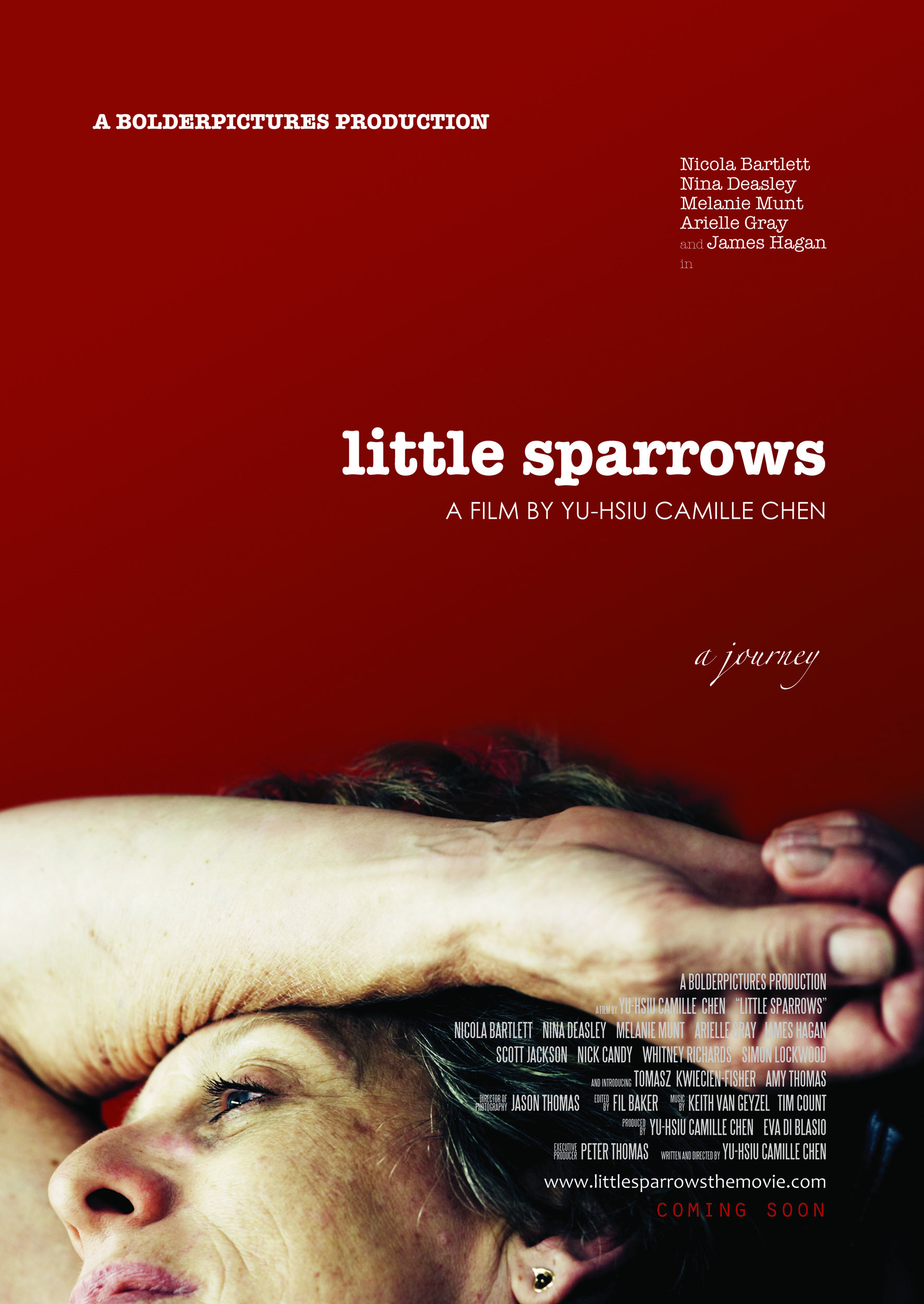 Little Sparrows