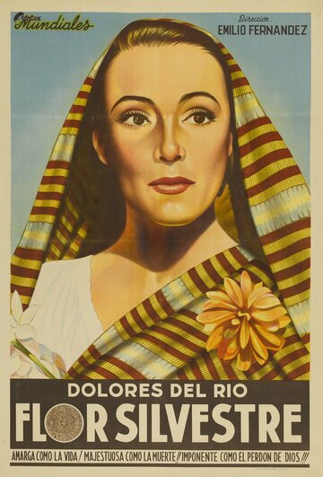 Flor silvestre