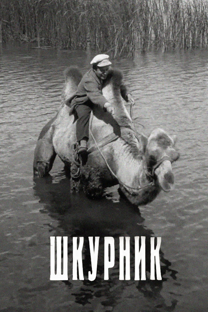 Schkurnik