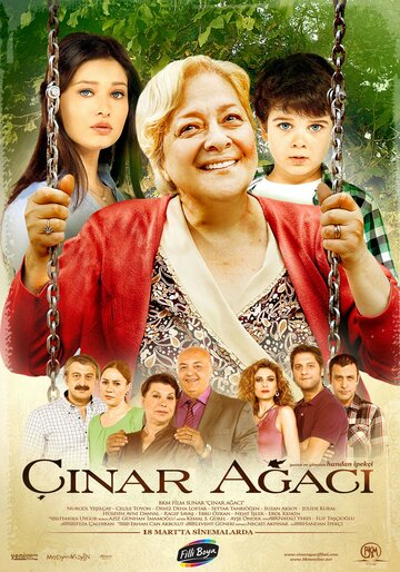 Çinar Agaci