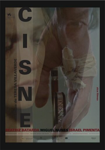 Cisne