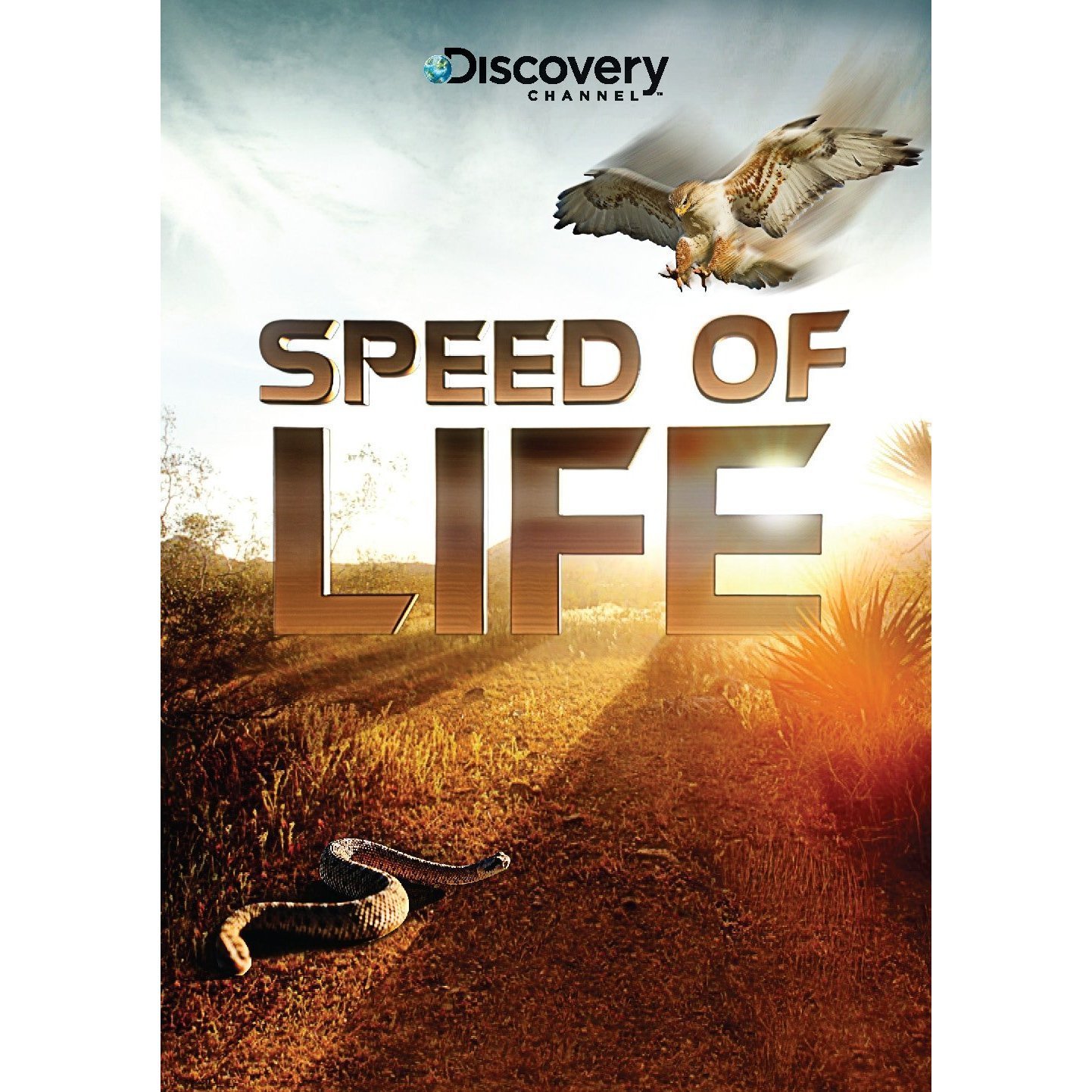Discovery: Скорость жизни