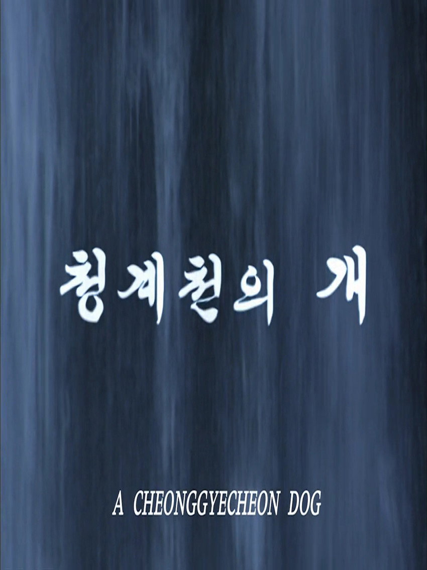 Cheonggyecheonui gae